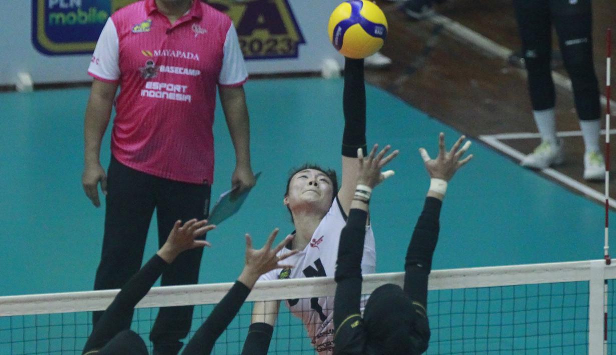 Pemain Jakarta BIN, Chen Peiyan melepaskan spike yang berusaha diblok dua pemain Gresik Petrokimia Pupuk Indonesia dalam laga seri kedua putaran kedua Proliga 2023 di GOR Ken Arok, Malang, Kamis (9/2/2023) siang WIB. Jakarta BIN kalah 2-3 (25-23, 21-25, 25-20, 17-25 dan 9-15). (Dok. Proliga 2023)