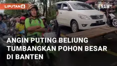 Angin puting beliung melanda Lebak, Banten sebabkan pohon besar tumbang. Pohon tumbang di Jalan Raya Rangkasbitung - Pandeglang
