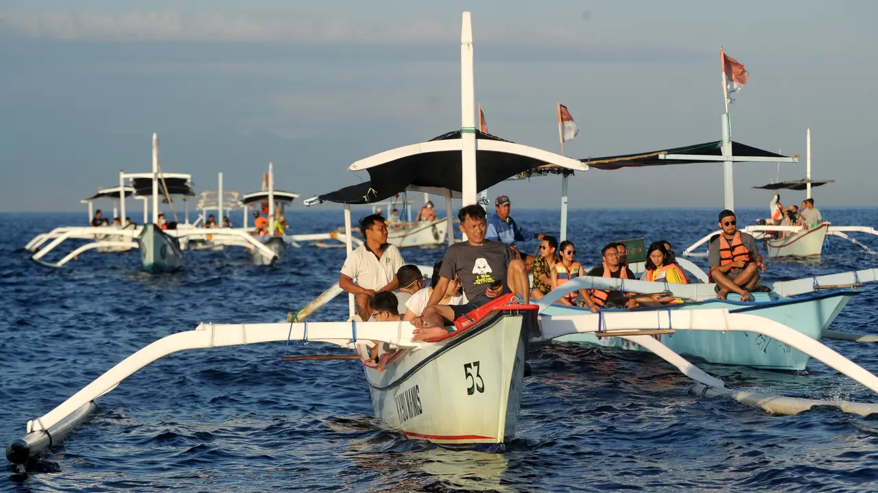 Lumba-Lumba Liar di Pantai Lovina Bali