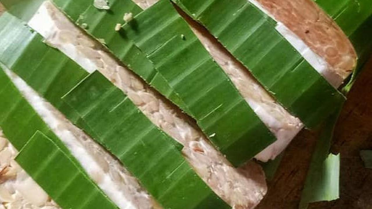 Tanpa Bahan Tambahan, Ini Cara Agar Tempe Tahan Lama Tidak Mudah Busuk
