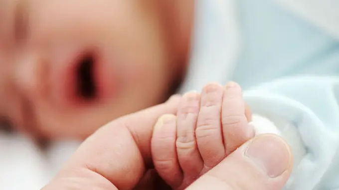 Foto: copyright thinkstockphotos.com