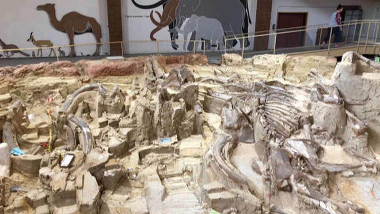 Museum Situs Mamut di Black Hills, South Dakota, Amerika Serikat.