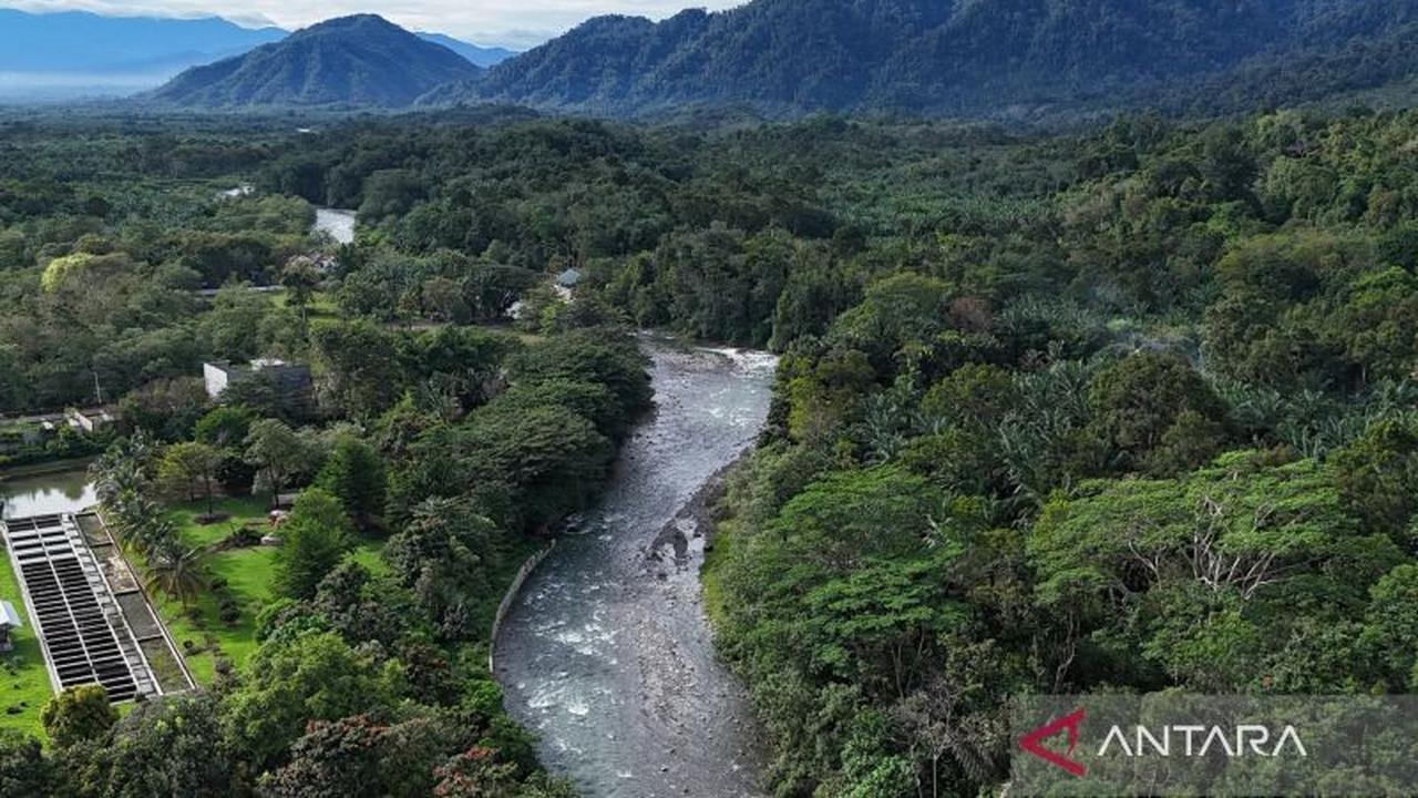 Menakar Efektivitas Pajak Keanekaragaman Hayati: Solusi Fiskal Hijau untuk Selamatkan Alam Indonesia