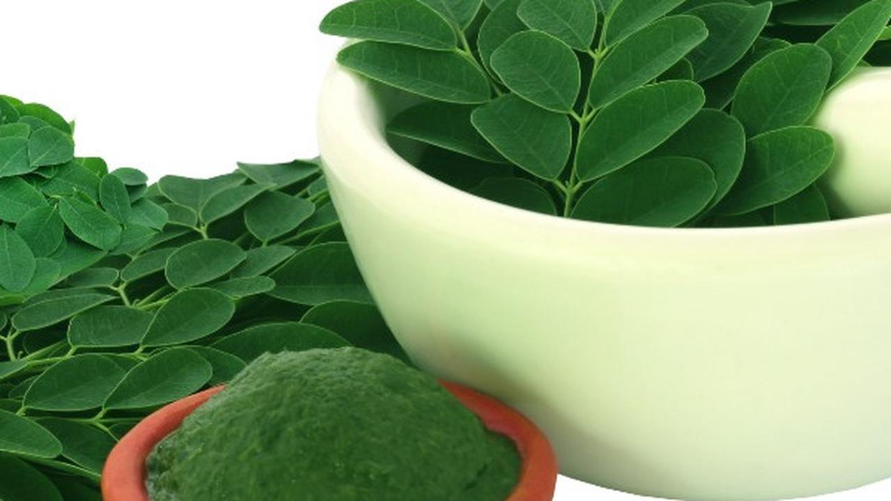 3 Metode Praktis Merebus Daun Kelor untuk Menurunkan Kolesterol dan Asam Urat dengan Mudah!