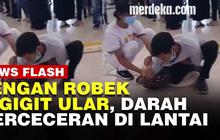 VIDEO : Seorang Pawang Digigit Ularnya Sendiri Saat Atraksi di Banjarbaru