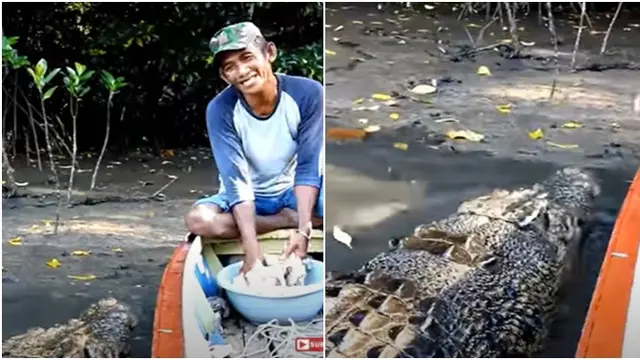 Viral, Persahabatan Pak Ambo dengan Buaya Bernama Riska di Bontang
