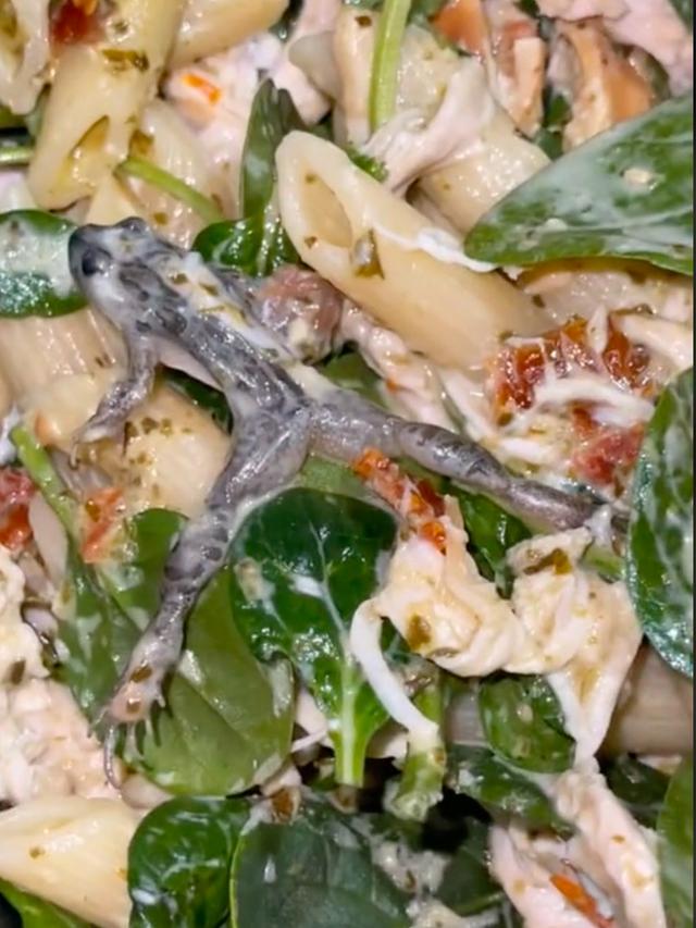 Bikin Gak Nafsu Makan, Wanita Ini Temukan Katak Mati di Dalam Tumisan Bayam