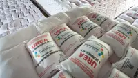Pupuk Urea Indonesia Jadi Rebutan Sejumlah Negara, Berapa Produksinya?