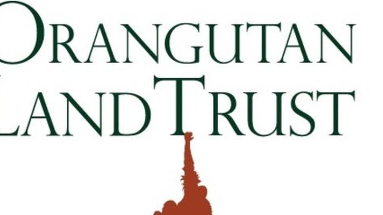Lindungi hutan di Indonesia, Orangutan Land Trust terima Rp 7 miliar