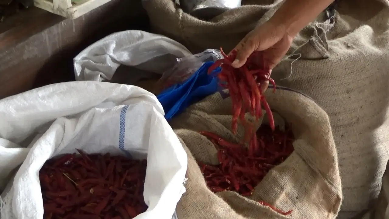 Cabai Kering Impor India dan Tiongkok Serbu Pasar Tulungagung