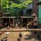 Cara Beternak Ayam Kampung di Lahan Sempit (Image by Gemini AI)