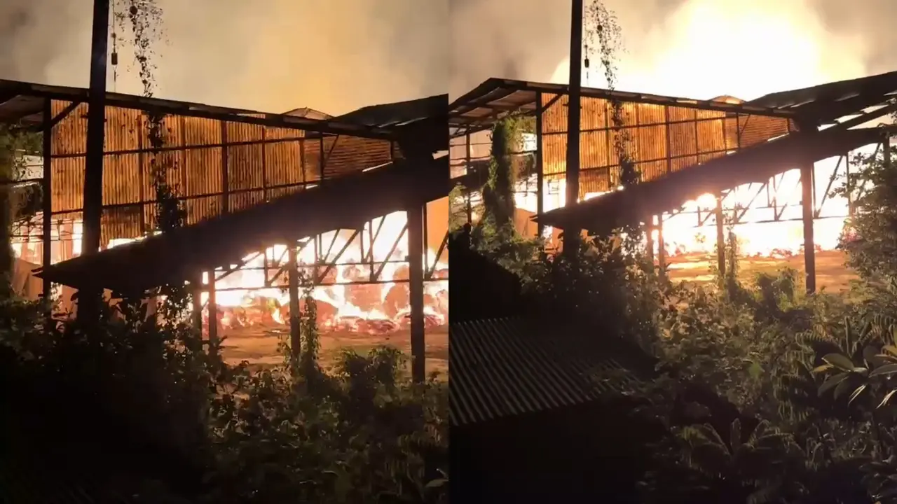 Kebakaran Hebat Pabrik Kertas di Lampung Tengah, Penyebab Utama Diusut