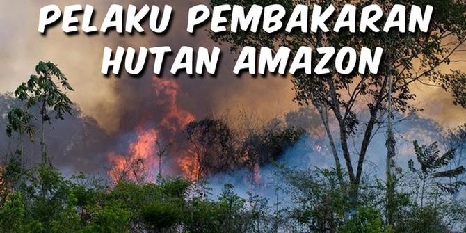 VIDEO TOP 3: Siapa Pelaku Pembakaran Hutan Hujan Amazon?