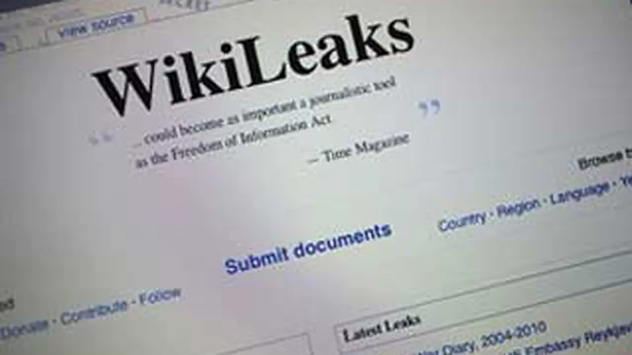 101130awikileaks.jpg