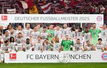 Prediksi Pertandingan Hoffenheim Vs Bayern Munchen, 17 Mei 2025