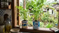 Cara Menanam Seledri di Kaleng Susu Bekas untuk Dapur Rumah, 6 Langkah Praktisnya