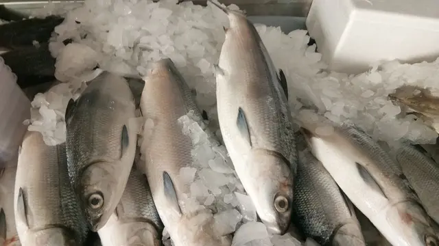 KKP Ajak Masyarakat Konsumsi Olahan Ikan