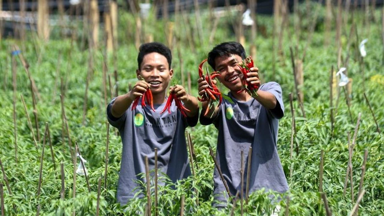 Outlook Pertanian 2026: Indonesia Bertekad Capai Swasembada dan Sistem Pangan Berkelanjutan