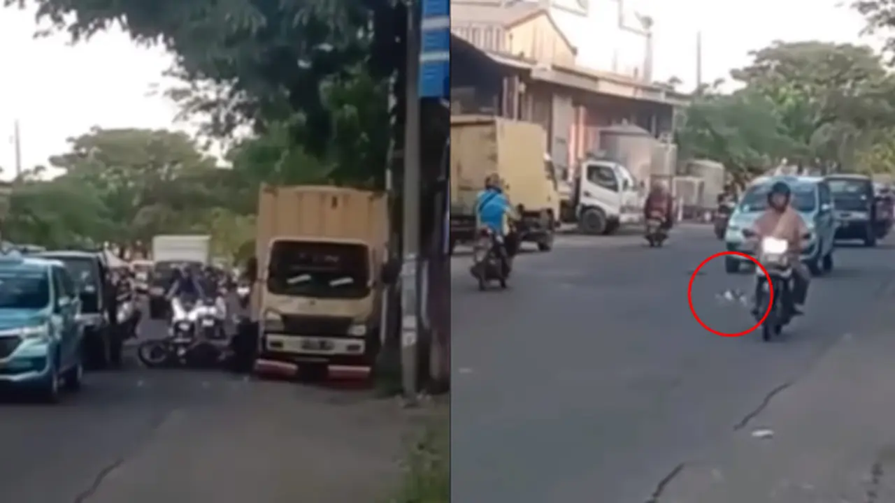 Tabrakan Beruntun Karena Kucing Nyebrang