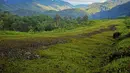 Lapangan terbang atau airstrip di Distrik Puldama, Kabupaten Yahukimo, Provinsi Papua. Lapangan terbang sepanjang 700m ini adalah satu-satunya akses menjangkau Distrik Puldama. (Liputan6.com/HO/Hadi M Juraid)