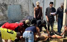 Pelaksanaan Kurban Kuningan Berjalan Lancar, DPRD Jabar Apresiasi Semangat Berbagi