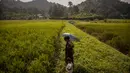 Seorang wanita etnis Khasi ditemani seorang anak kecil memancing di sawah di desa Umwang, di sepanjang perbatasan negara bagian Assam-Meghalaya, India, Rabu (27/10/2021). Lebih dari 60 persen dari 1,3 miliar warga India bertani. (AP Photo/Anupam Nath)