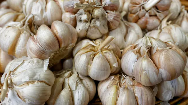 Bawang Putih