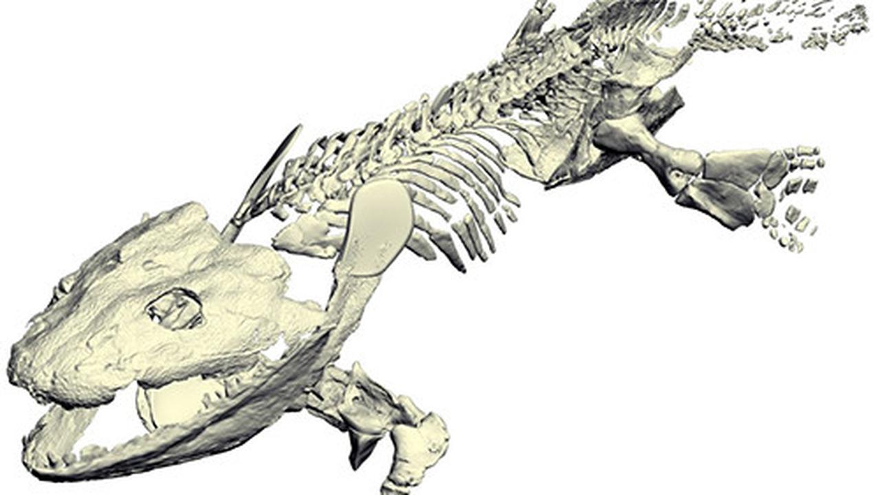 Ichthyostega