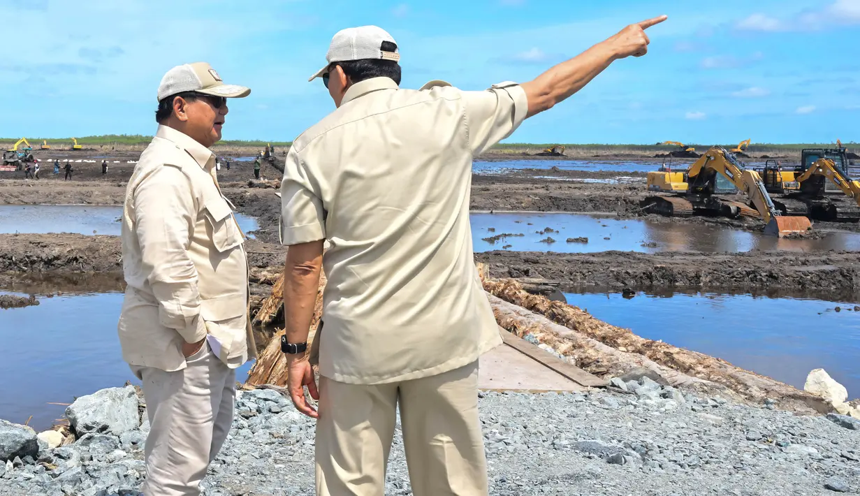 Presiden Prabowo Subianto meninjau langsung proses tanam dan panen padi dalam rangka pengembangan program swasembada pangan nasional di Desa Telaga Sari, Distrik Kurik, Kabupaten Merauke, Provinsi Papua Selatan. (Foto: Handout/ISTANA KEPRESIDENAN RI/AFP)