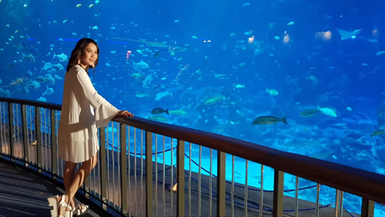 Ragam Atraksi Besar Resorts World Sentosa Singapore di Musim Liburan Natal dan Akhir Tahun