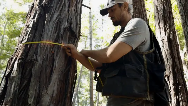 The Conservation Fund secara rutin mengukur diameter dan tinggi pepohonan di hutan untuk memantau jumlah karbon yang disimpan.