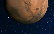 Hewan Ini Punya Peran Penting jika Manusia Mau Membangun Koloni di Mars