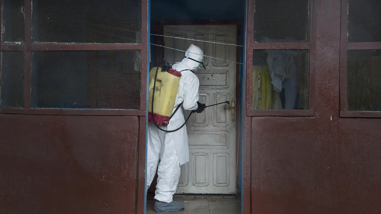 ebola