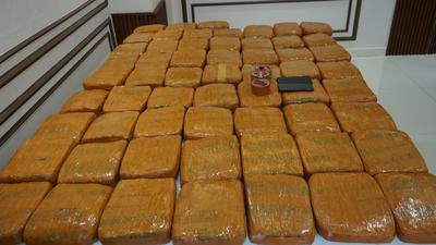 Penggerebekan Ganja di Petamburan, Polda Metro Jaya Sita 62,5 Kg