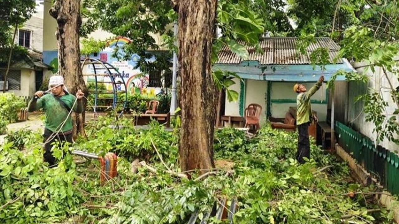 Suku Dinas Pertamanan Jakarta Barat Gencarkan Pembersihan Taman Cegah Prostitusi Liar