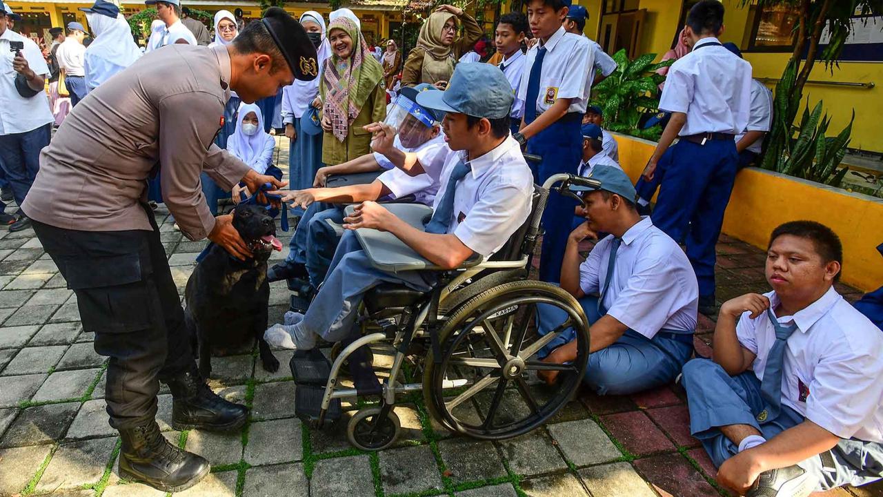 FOTO: Semangat Murid SLB Belajar Bersama Anjing K-9 Mabes Polri