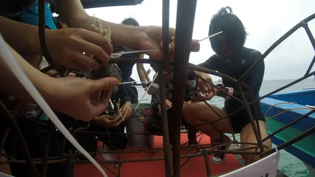 Female Divers