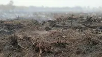 Kebakaran hutan di sebuah titik di Kalimantan Tengah. (dok BNPB)