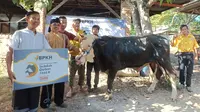 Badan Pengelola Keuangan Haji (BPKH) melalui program kemaslahatan Sedekah Kurban 1444 H / 2023 M tahun ini menyalurkan sebanyak 1000 Ekor Sapi dan 1000 Ekor kambing/domba yang tersebar di seluruh Indonesia (Istimewa)