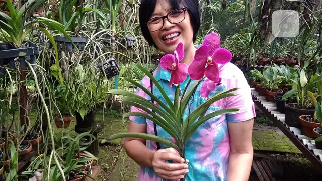 taman anggrek