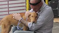 Reuni Penuh Haru Marinir dengan Anjing Jalanan
