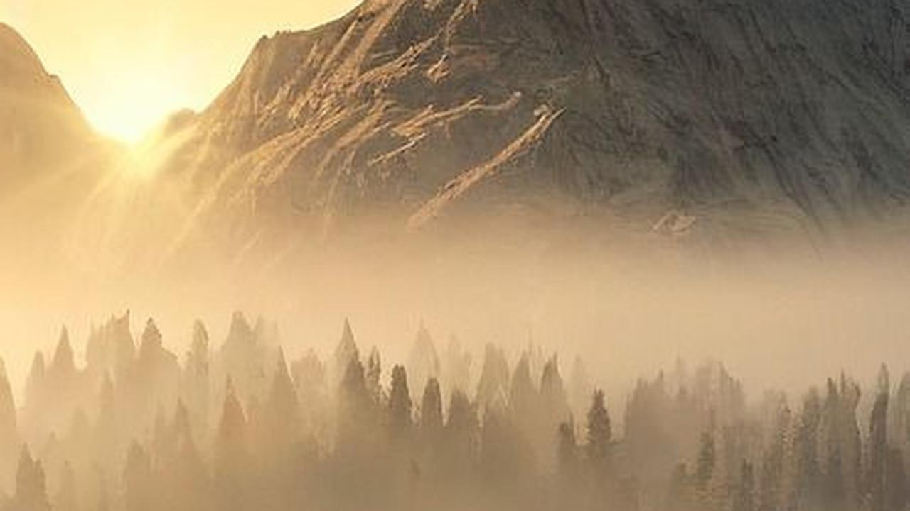 Dzikir Pagi dan Petang Latin Lengkap dengan Arti, Amalan Sederhana Penghapus Dosa