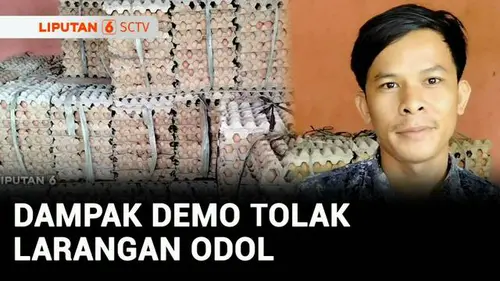 VIDEO: Sopir Truk Tolak Larangan Odol, Harga Telur di Pamanukan Naik