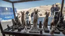 Patung-patung kucing ditampilkan setelah serangkaian penemuan langka di Saqqara, selatan Kairo, Sabtu (23/11/2019). Mumi hewan seperti anak singa, kucing, kobra, buaya, hingga kumbang ditemukan oleh tim arkeologi Mesir, termasuk 75 patung kayu dan perunggu dari masa silam. (Khaled DESOUKI/AFP)