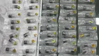 Pengedar Cartridge Mengandung Etomidate Ditangkap di Jakut, Per Buah Dijual Rp6 Juta