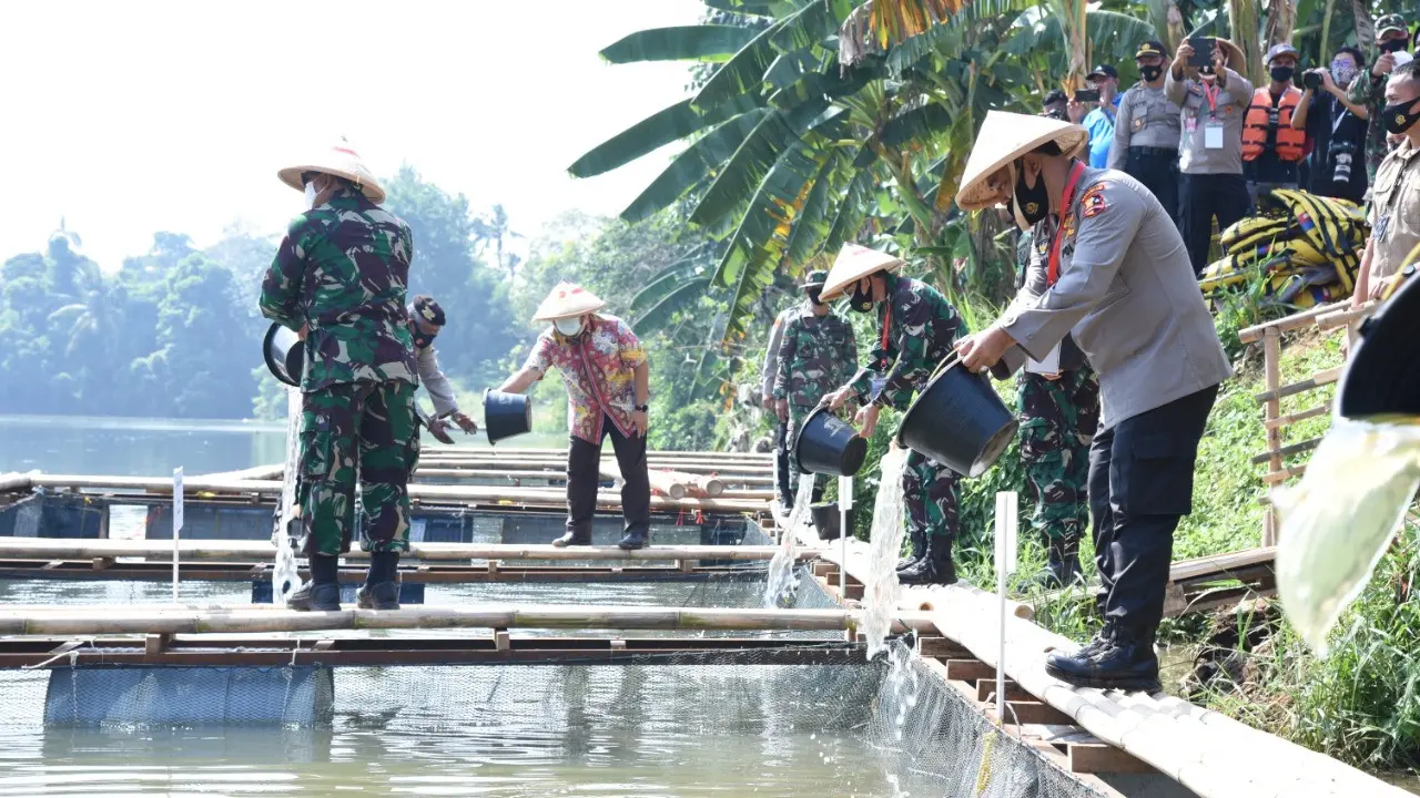 Menjaga Ketahanan Pangan dari Pinggir Sungai Cisadane