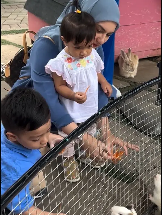 Mereka berinteraksi dengan satwa lain, seperti gajah, aneka burung, hingga kelinci.
 [Instagram/_irishbella_]