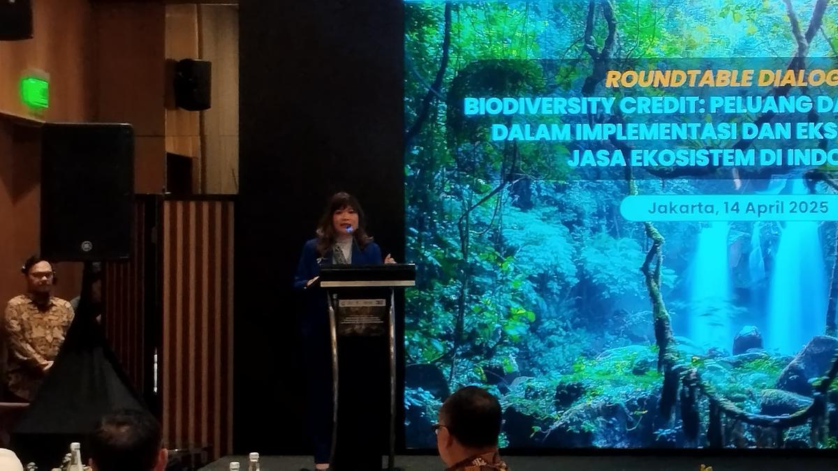 Hutan Bisa jadi Motor Pertumbuhan Ekonomi RI, Begini Caranya