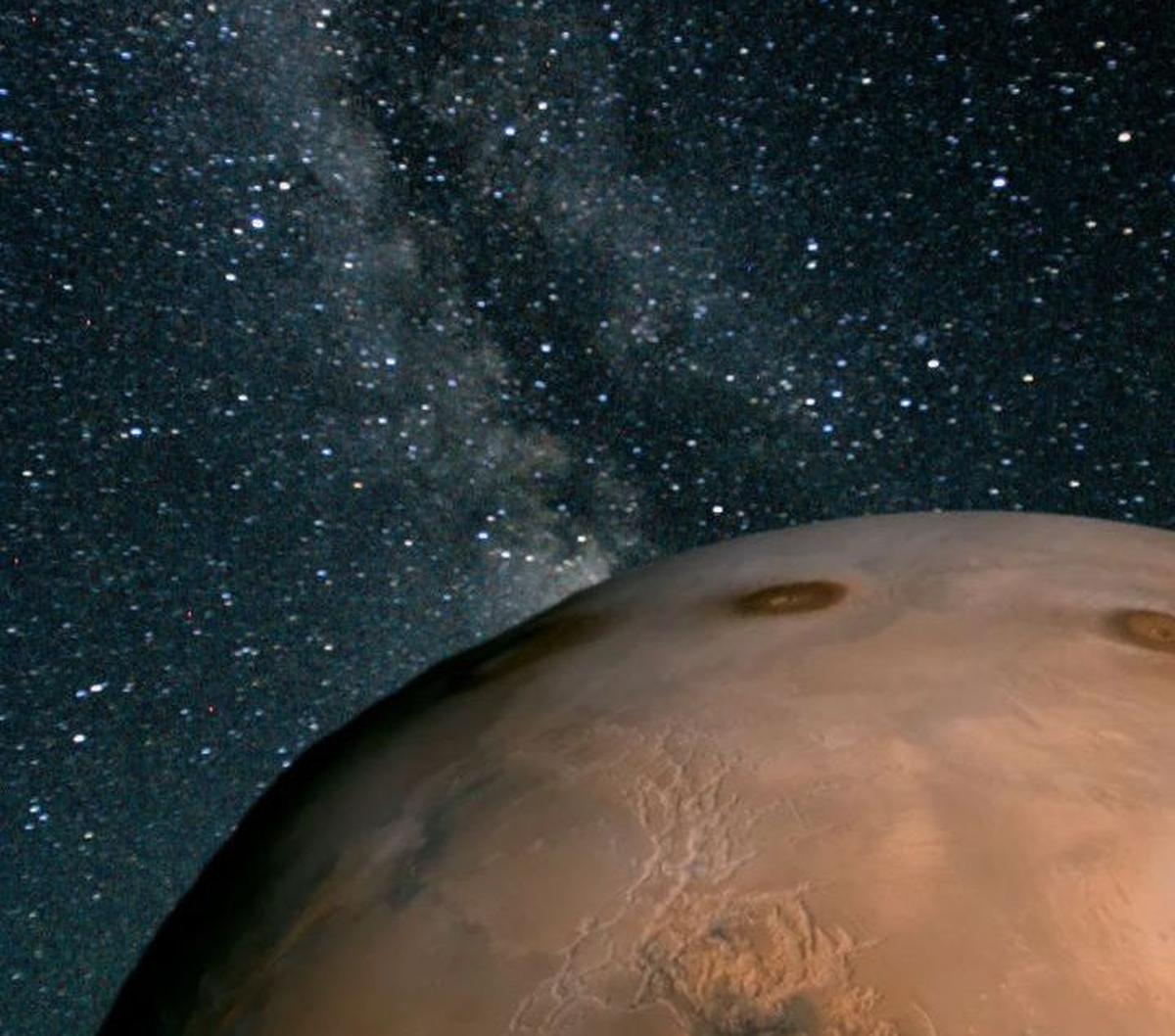 Lalu, bagaimana hasilnya? Ternyata, cukup “nyaman” dengan situasi di Mars, sehingga ia dapat berkembang biak dengan baik.&nbsp;