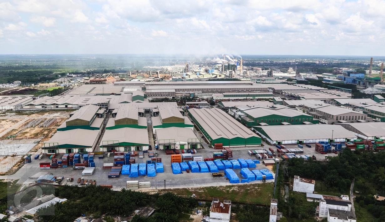 Melihat Pabrik  Kertas  Terbesar di Indonesia dari Pandangan 